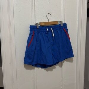 Zara Blue Swim Shorts
